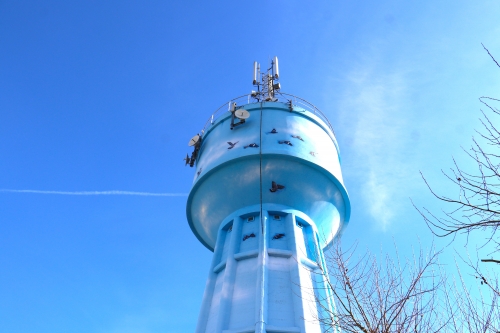 26 février 2026 (1).JPG