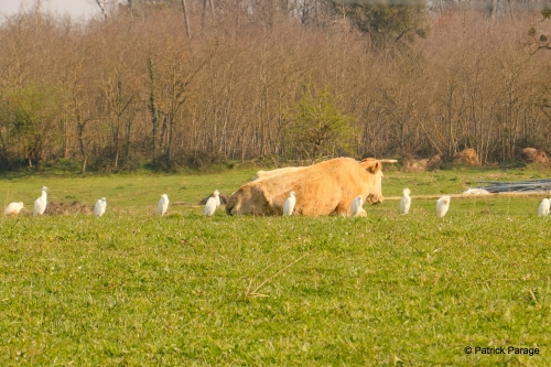 1er avril 2025 (1).JPG