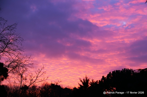 19 février 2026 (1).JPG