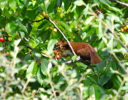 28 avril 2026 (1).JPG