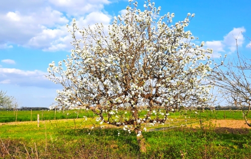 24 mars 2026 (1).jpg