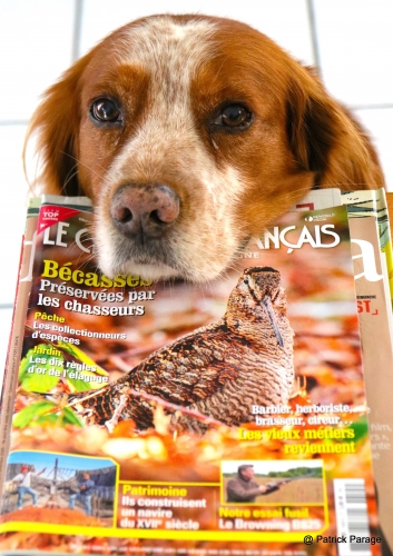 7 novembre 2025 (1).JPG