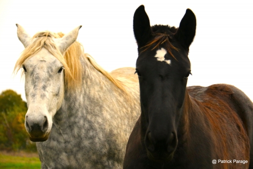 6 novembre 2025 (1).JPG