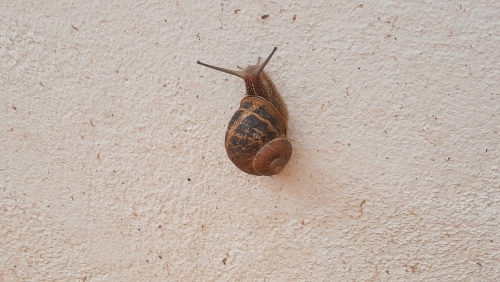 20250821_115757.jpg
