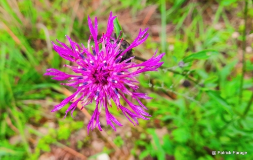 10 novembre 2025 (1).jpg