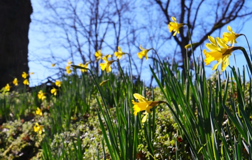 8 février 2026 (1).JPG