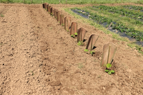 17 avril 2026 (1).JPG