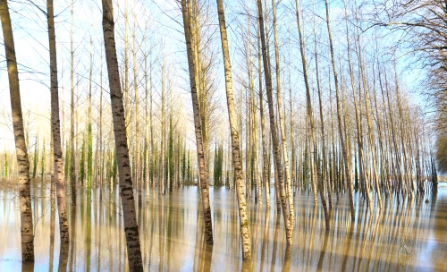 22 février 2026 (1).JPG