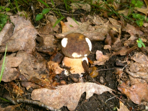 GEDC0039.JPG