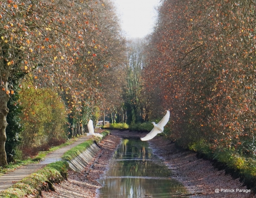 30 novembre 2025 (1).JPG