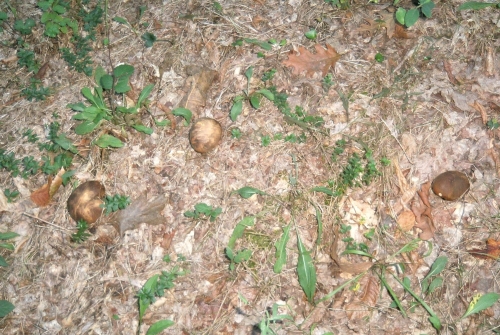 GEDC0005.JPG