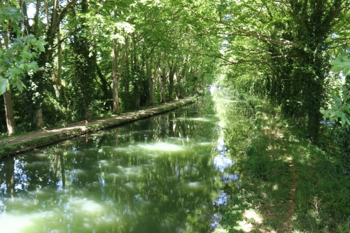 17 juin 2026 (1).JPG