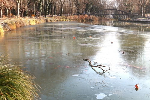 6 janvier 2026 (1).JPG