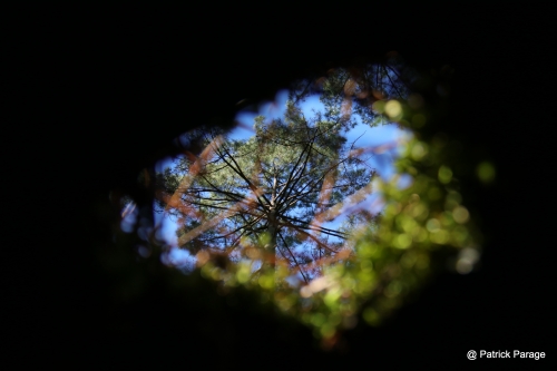 31 octobre 2025 (1).JPG