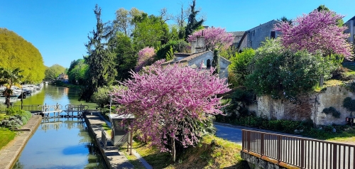 9 avril 2026 (1).jpg