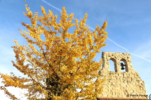 9 décembre 2025 (1).JPG