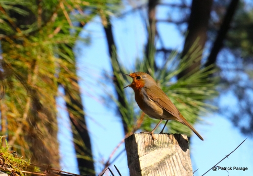 3 novembre 2025 (1).JPG