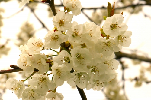 12 avril 2026 (1).JPG