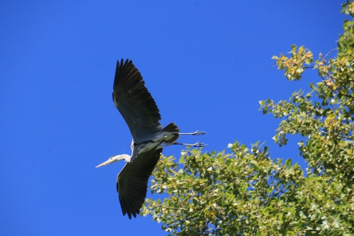 IMG_4356.JPG