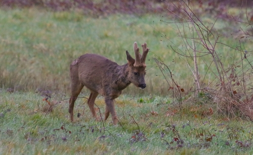 5 février 2026 (1).JPG