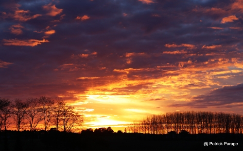 11 novembre 2025 (1).JPG