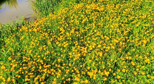 18 avril 2026 (1).jpg