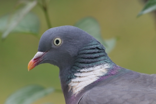 13 avril 2026 (1).JPG