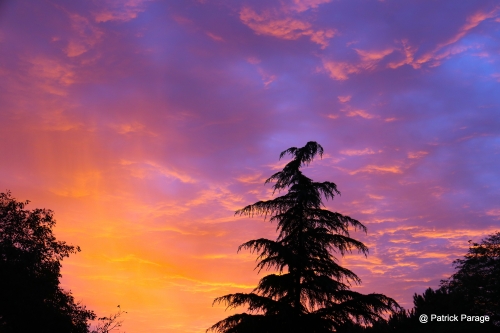 2 novembre 2025 (1).JPG