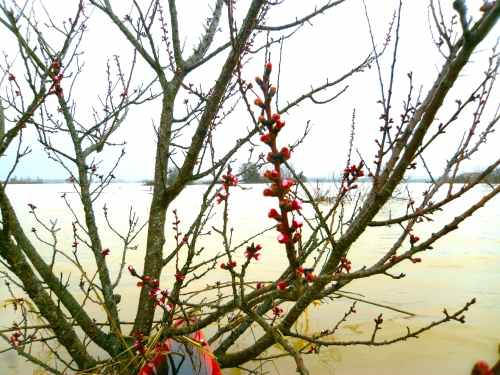 16 février 2026 (1).JPG