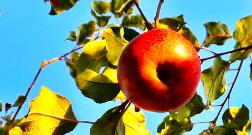 28 octobre 2026 (1).jpg