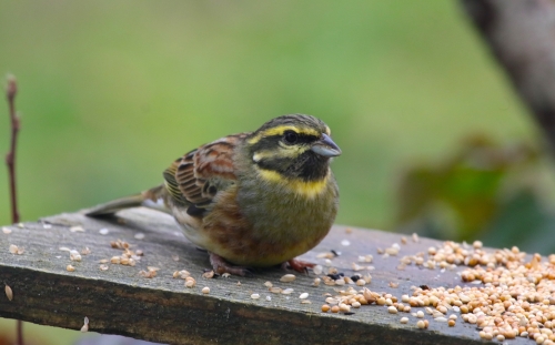 23 février 2026 (1).JPG