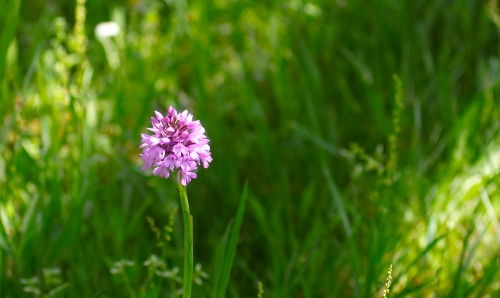 26 avril 2026 (1).JPG