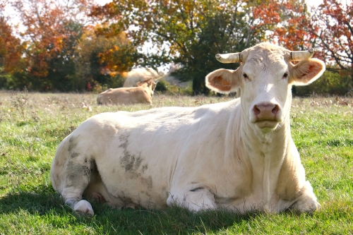 5 novembre 2025 (1).JPG