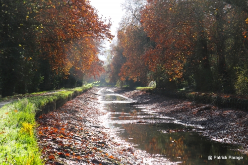 29 novembre 2025 (1).JPG