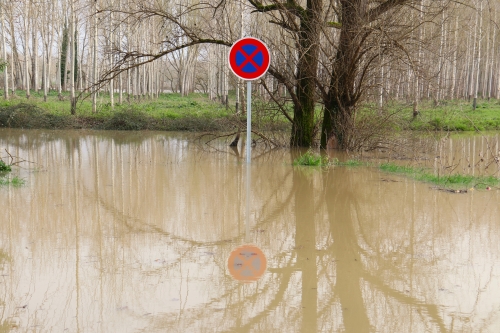 12 février 2026 (1).JPG