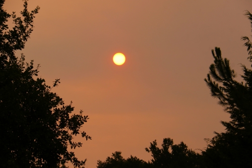 IMG_7591.JPG