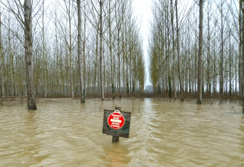 18 février 2026 (1).JPG