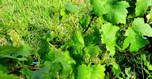 20260520_182723.jpg