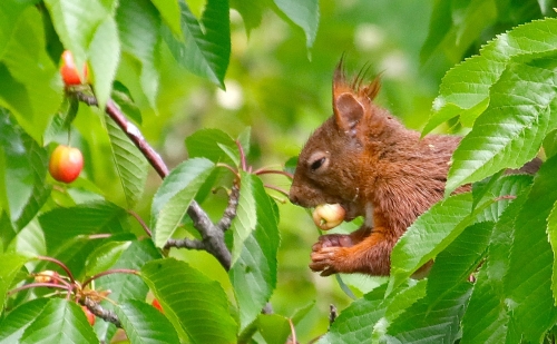 29 avril 2026 (1).JPG