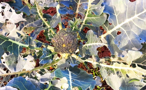 9 novembre 2025 (1).jpg