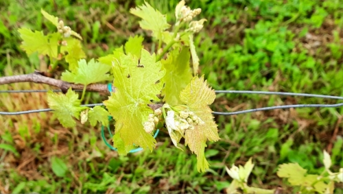 14 avril 2026 (1).jpg