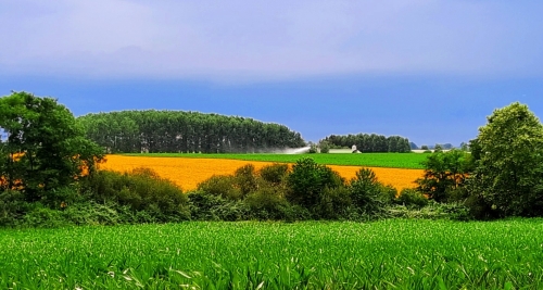 20250625_171351.jpg