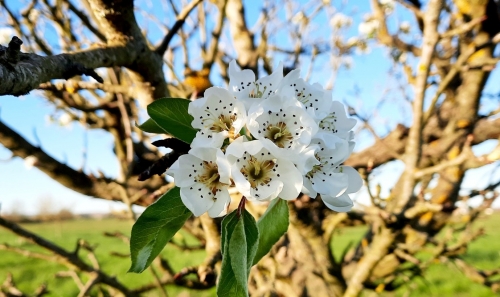 22 mars 2026 (1).jpg