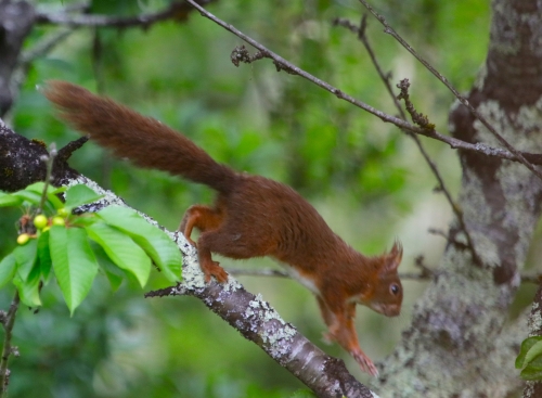 27 avril 2026 (1).JPG