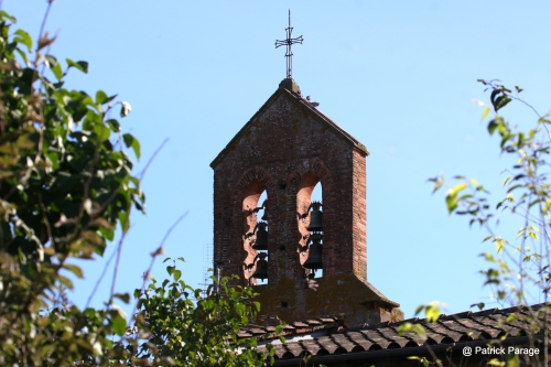 IMG_7585.JPG