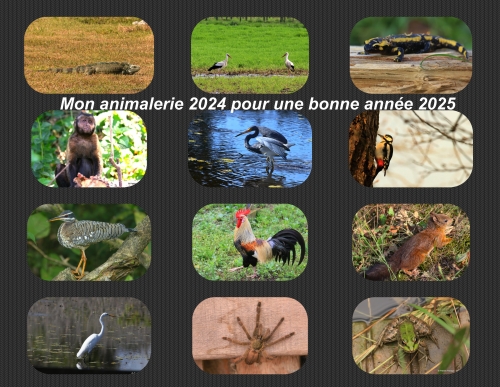 3 janvier 2025.jpg